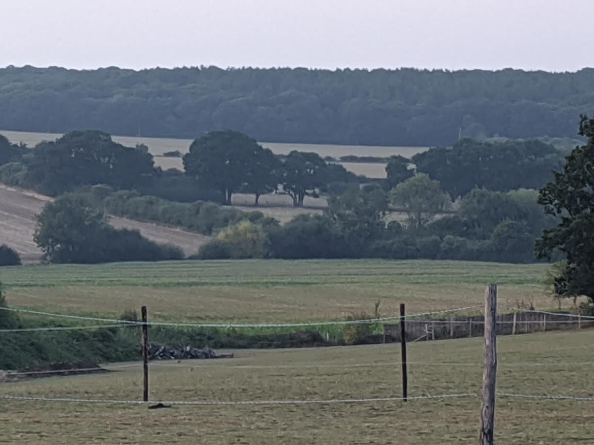 Foxhill Lodges Canterbury Exteriér fotografie