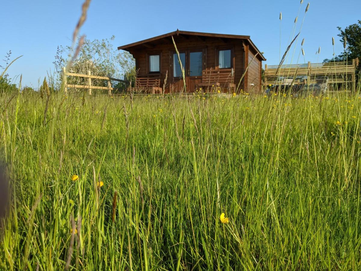 Foxhill Lodges Canterbury Exteriér fotografie